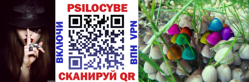 МЕГА вход  Ростов-на-Дону  Галлюциногенные грибы GOLDEN TEACHER  сколько стоит 