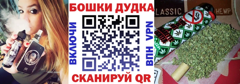 Каннабис ГИДРОПОН  где найти   Ростов-на-Дону 